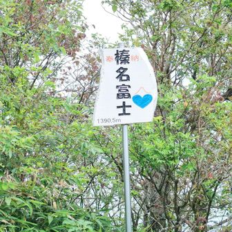 看板いつから割れてるのかしら？