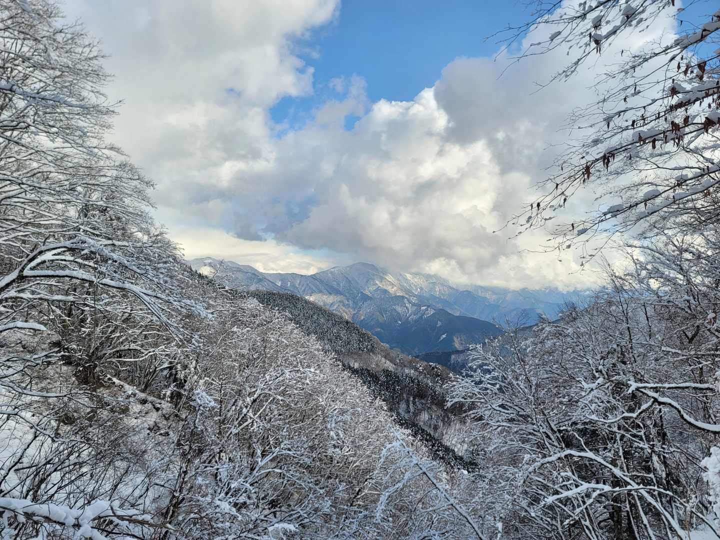 山伏登山口-蓬峠-山伏 往復コースの写真