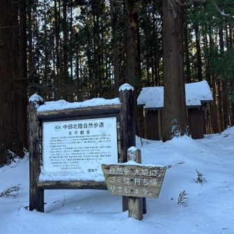 お詣りしてきました。