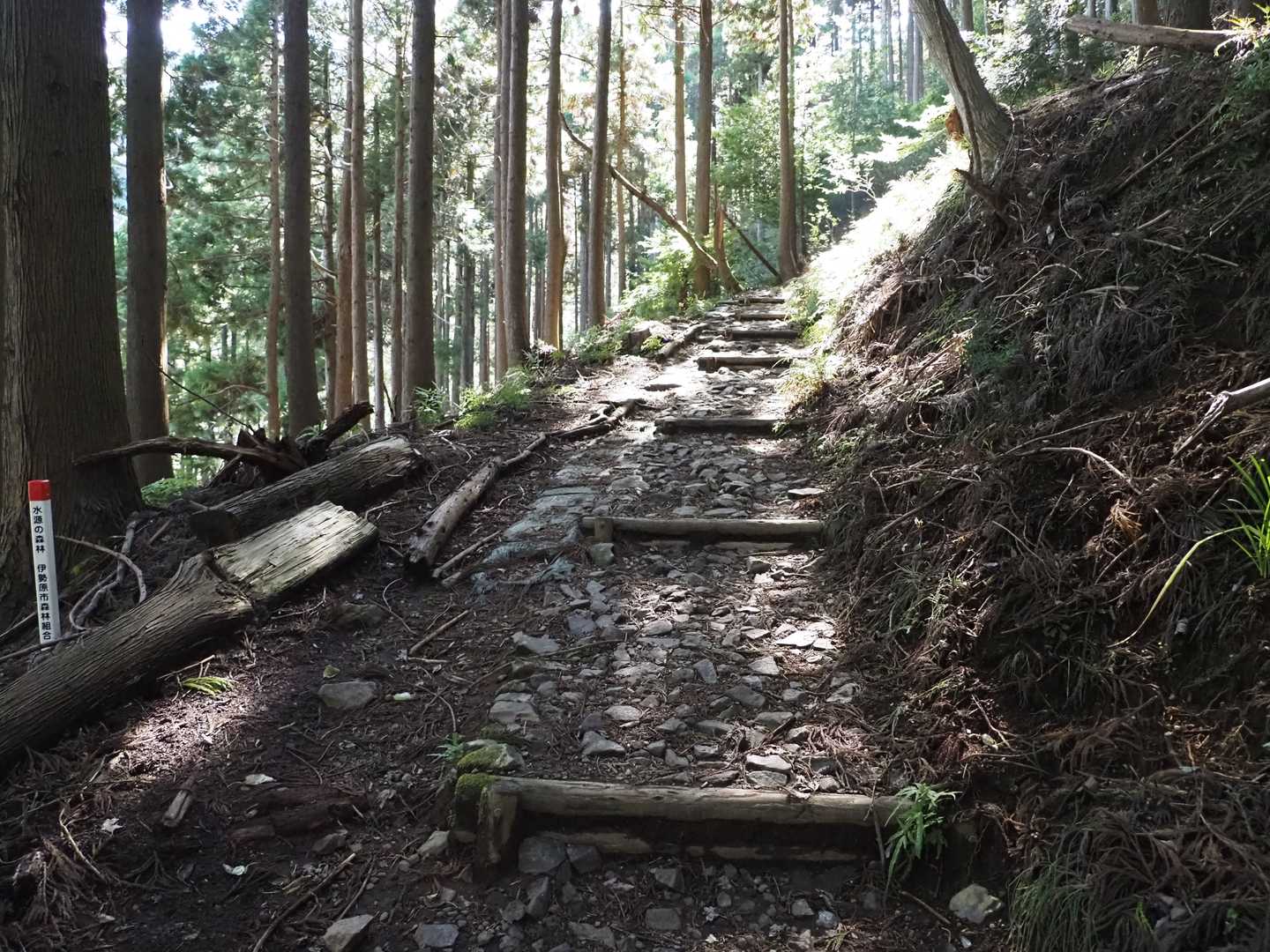 スタート時間が遅いので、何人もの下山者とすれ違いながらジグザグ路を急ぎました。