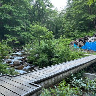 川を渡って山に入る