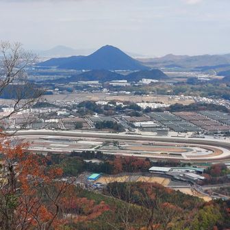 子鶏冠山🐔のピーク近くから。
JRA栗東トレーニングセンター🐎が近い。
近江富士🗻、かわええ。