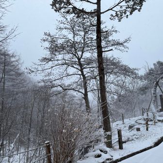 さ、燕山荘へ出発です