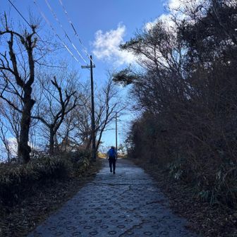 頂上までもダッシュ💦ここの勾配が1番キツイと思います。元気だなぁ(°▽°)