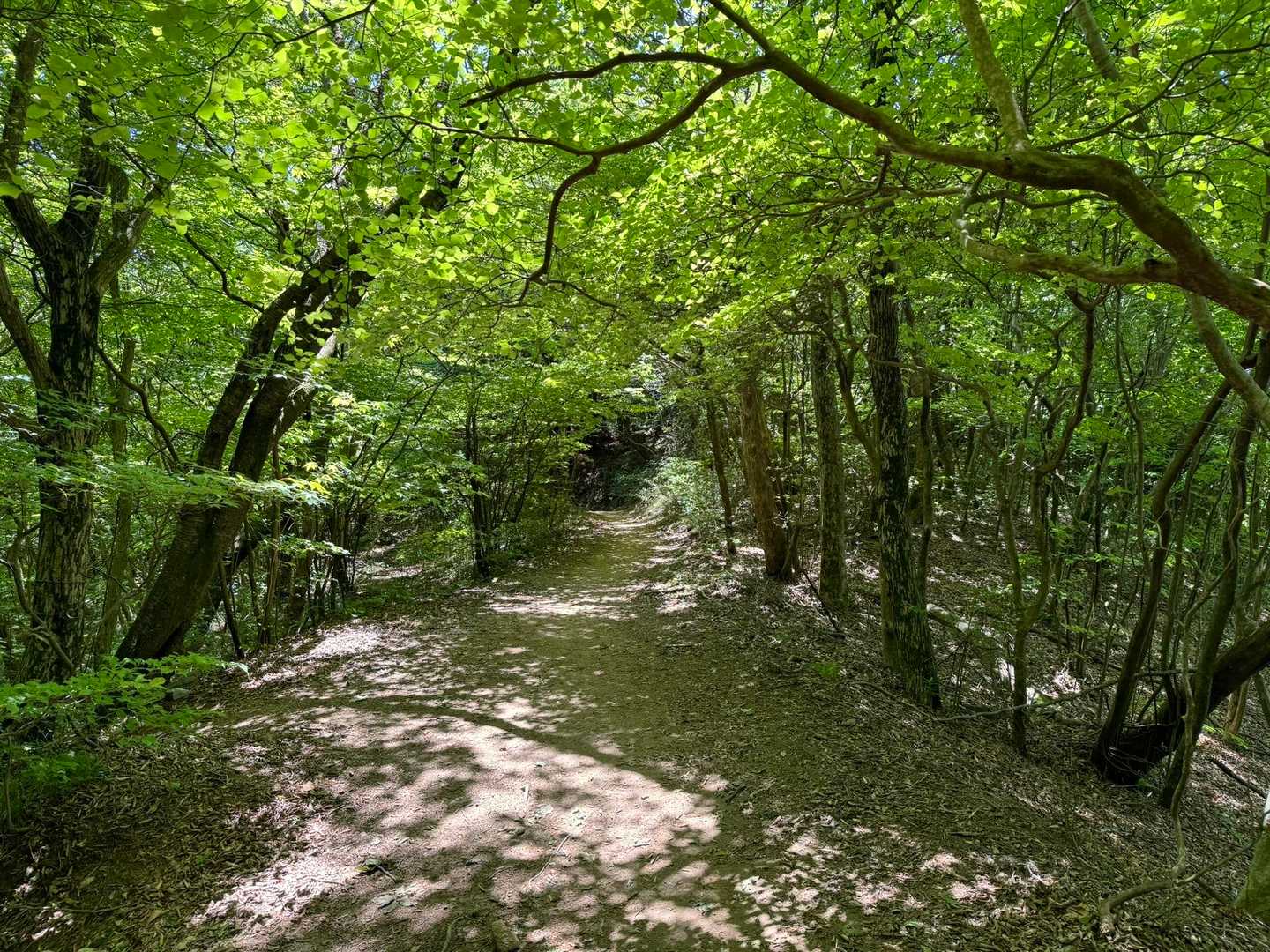 頭巾山登山口-頭巾山-三郡山-つき谷B登山口 周回コースの写真