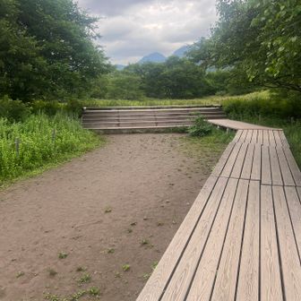 綺麗な木道が続きます