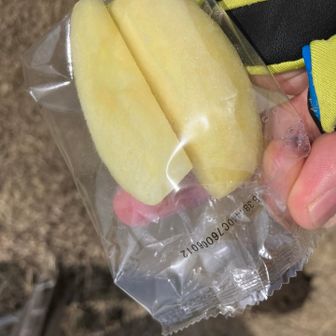 nagayoshiさんに小袋入りのりんご貰う
コレは山に最適(^^)