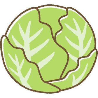キャベツ
