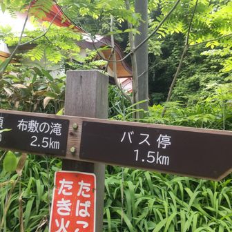 滝まで行こうと思ったが
緩く歩きすぎて今回はやめとく
滝は動かないさ～