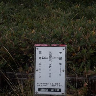 五光岩🪨ベンチまで来ました。
どれが五光岩なんだろう。