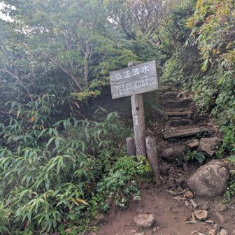 ここからは少し登ります