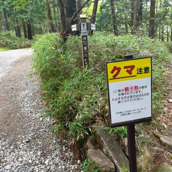 熊の親子がいるらしい
熊鈴鳴らしながら歩きます