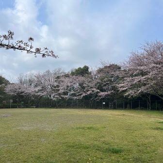 勝山公園に上がったら青空