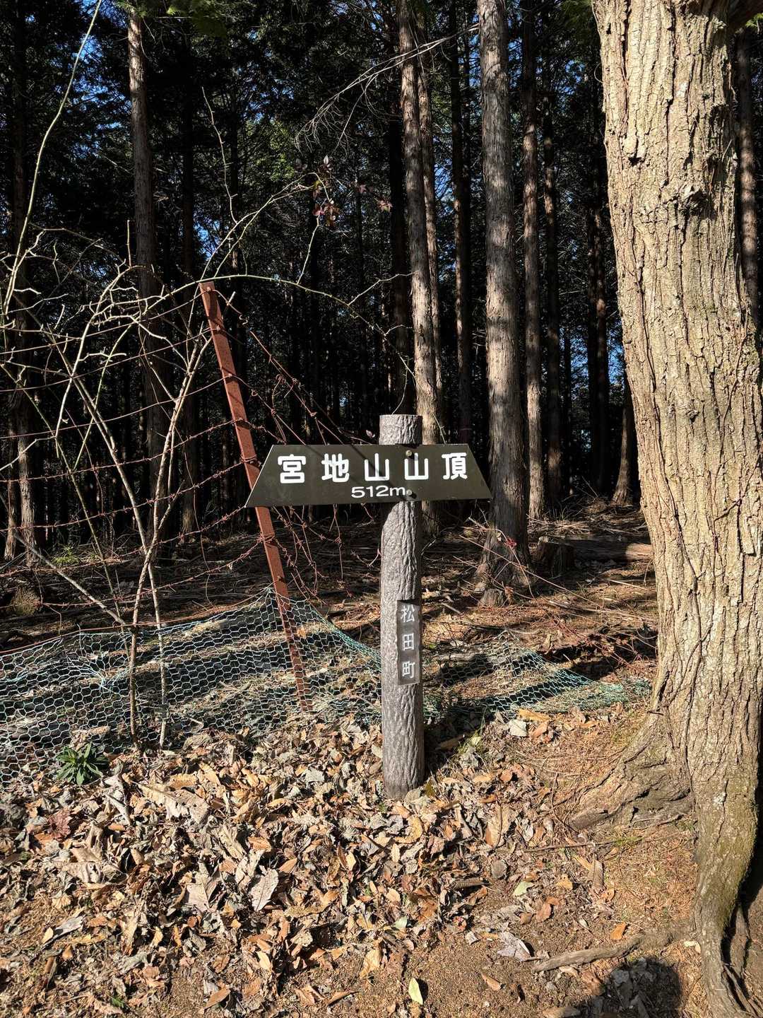 タコチバ🐙山のピークを撮り忘れてしまい、宮地山に着いてしまった😅