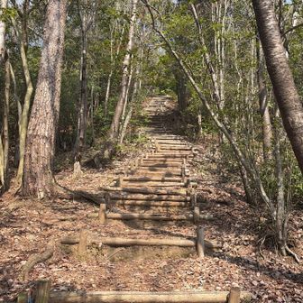 いつものことながら、階段が💦