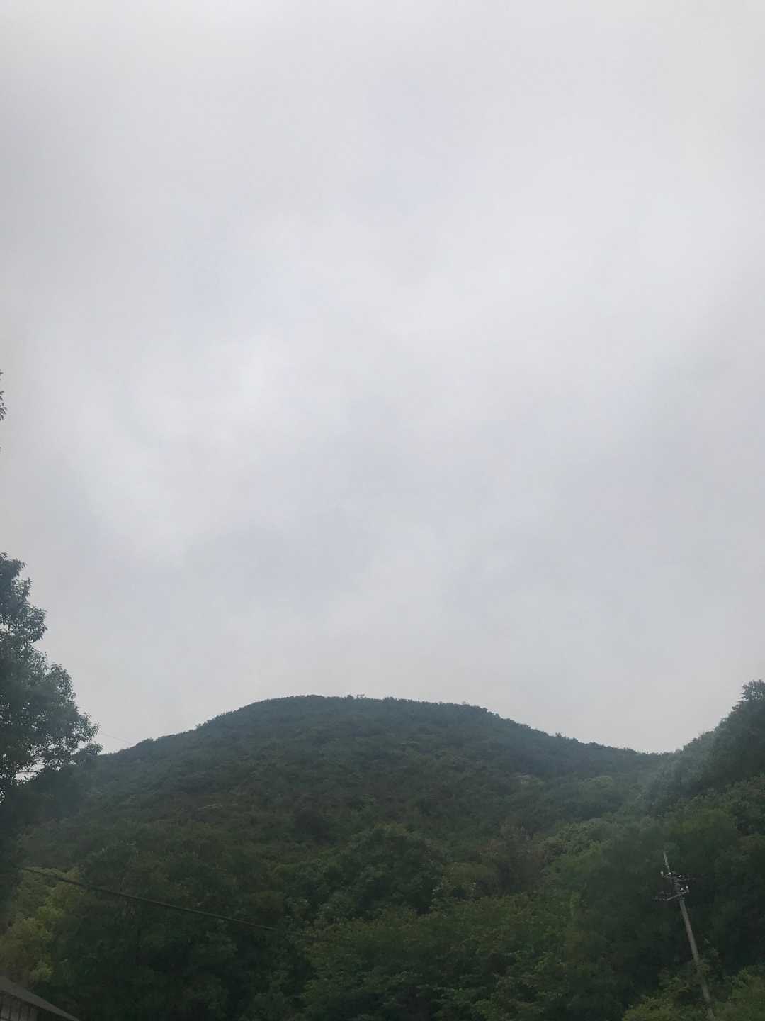 天霧山-弥谷山 往復コースの写真