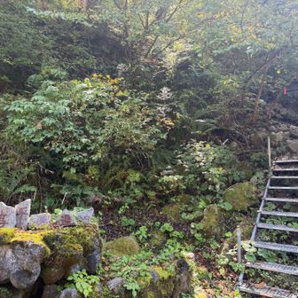穂高平登山口