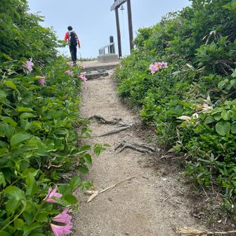 山頂