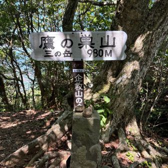 着きました三ノ岳(鷹の巣山)