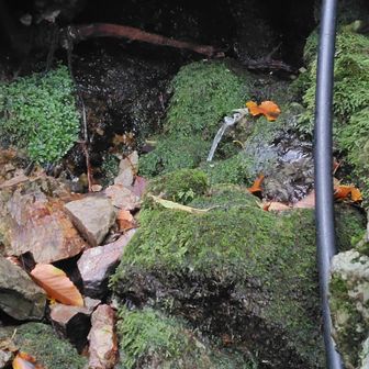 水場：行者雫水、枯れる場合あり