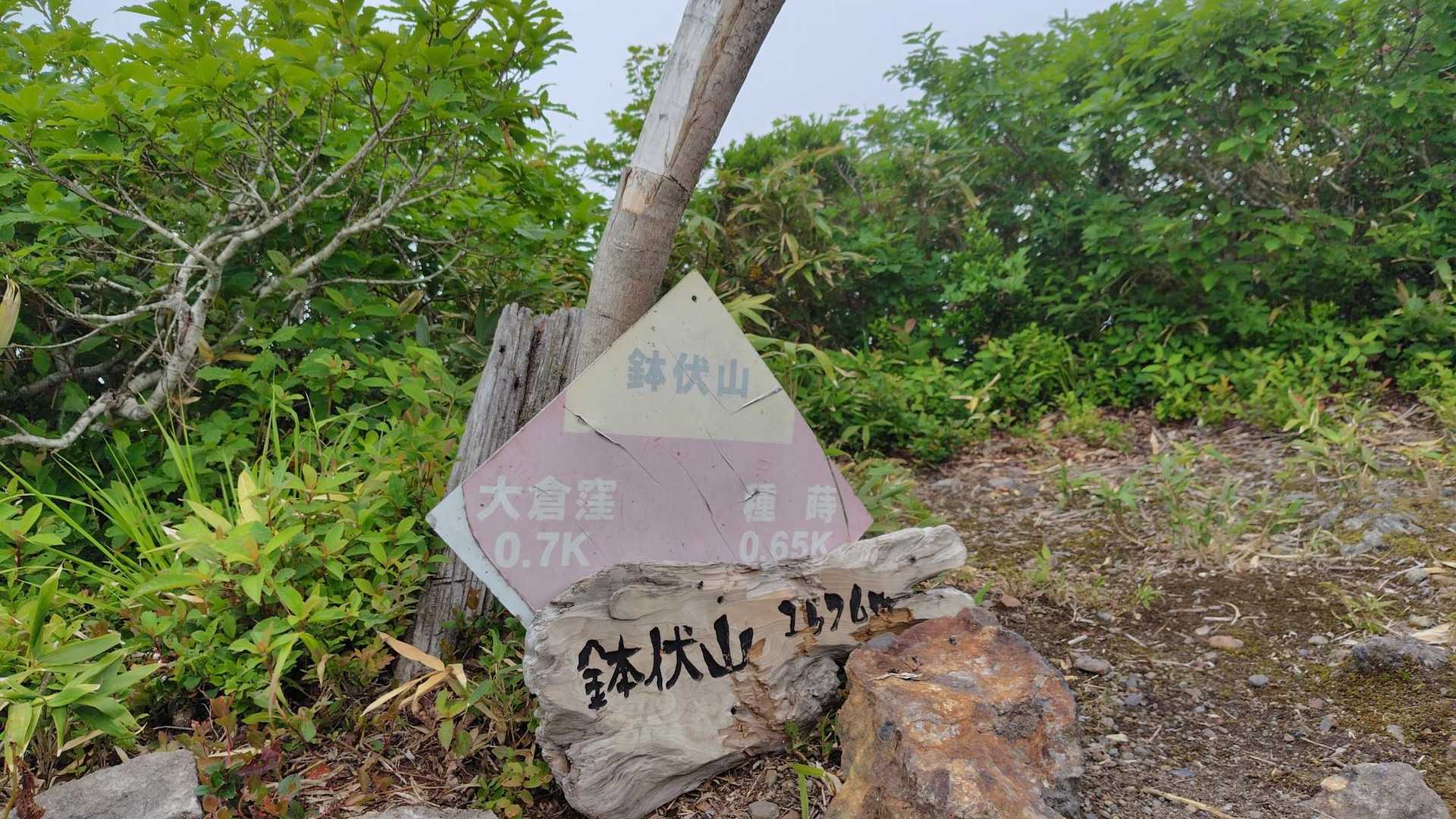 鉢伏山到着〜