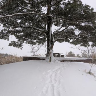 山頂が際立って見える