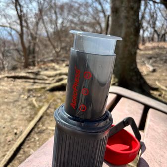 コーヒータイム　桜が咲いてたらなー