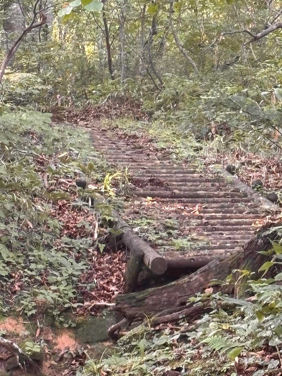 階段を登って行きます💦