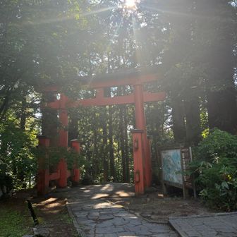 では、帰ります。