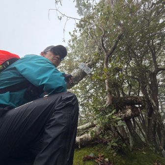 孫岳山頂
道はよくわからなかった😅
YAMAPの先輩方の軌跡を頼りになんとか山頂標識に到達！！