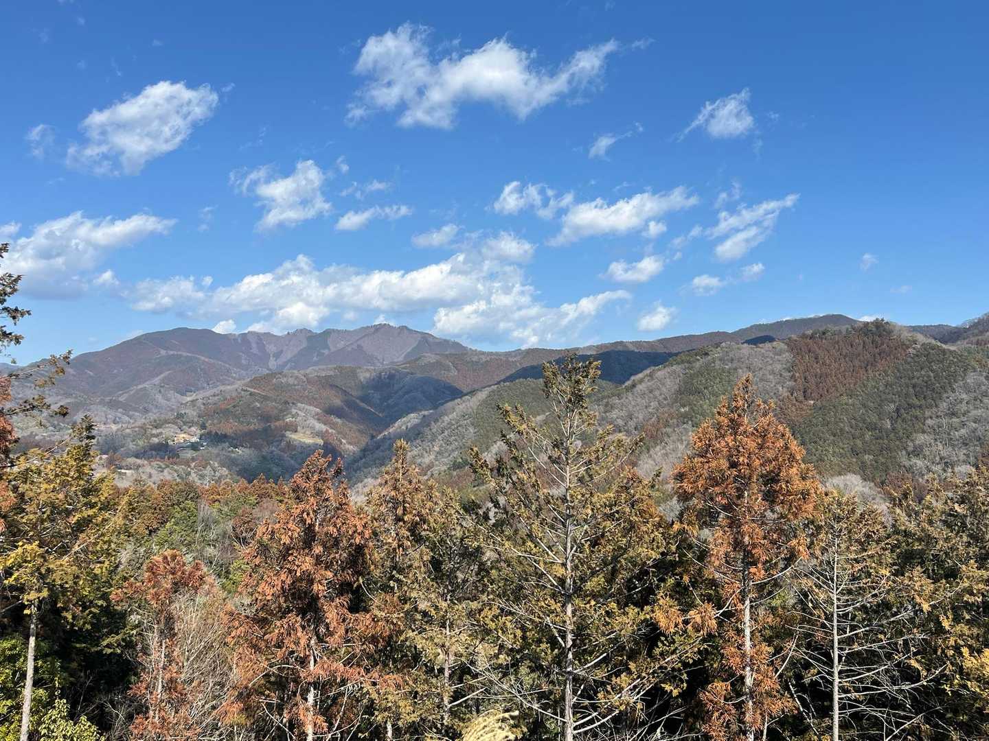 生藤山から陣馬山へ繋がる稜線