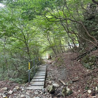 この橋を渡れば間も無く下山です