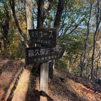 分岐まで来ました。
ここまで来れば山頂はもう直ぐ！