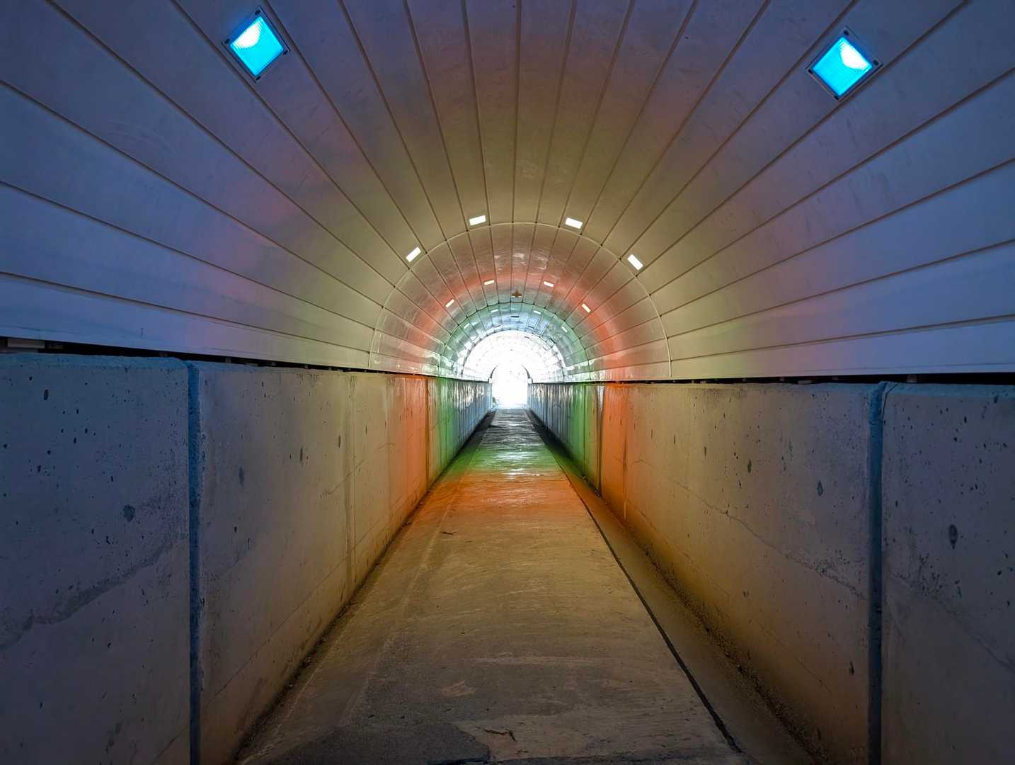 虹のトンネル🌈ワーーープ！