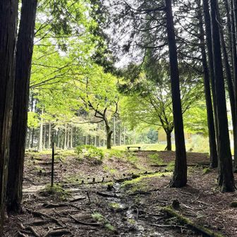 休憩広場🤗