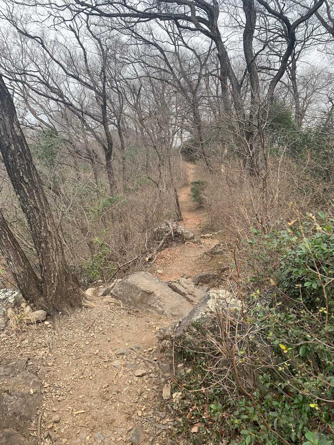 三毳山-中岳 周回コースの写真