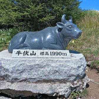 ピークを取りに