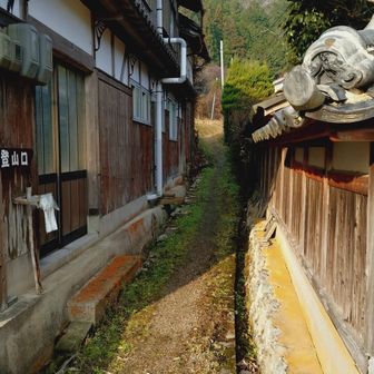 民家と民家の間を通って