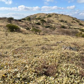 まだまだ歩きたかったのですが、あっという間に戻る時間がやってきました🕰️

短時間でしたが、今年最後の山歩を天山でスカッと締めることができました✨

みなさま、今年も一年、活動日記をご覧いただきありがとうございました🙇

どうぞ良い年をお迎えください❗️