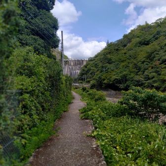 ダムが見えてきました