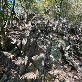 岩場登りが続きます