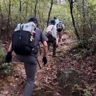 自然に集まったメンバーで西山へ
