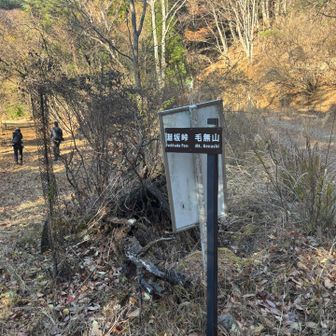 前を歩いていた方々は毛無山方面へ