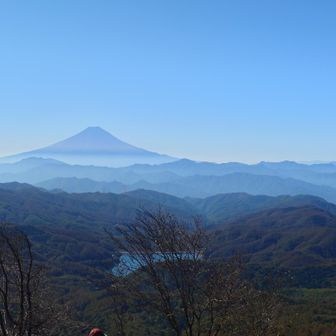 引いてみたり