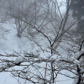 あっという間に別世界