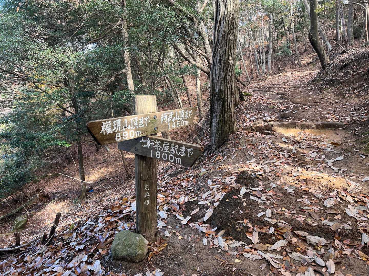 でもまだまだ先じゃ〰️☝️⛰️💦