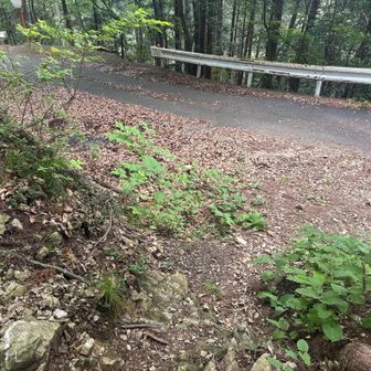 三角点を越えて滝に近づく。
道路に合流ー。