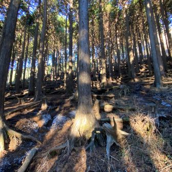 菩提峠から二ノ塔へ登る