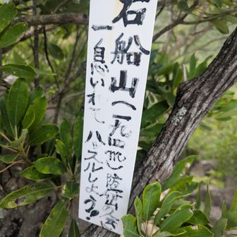 ハッスルなんて出来ません。😅