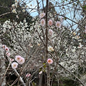 下山完了後バス道で